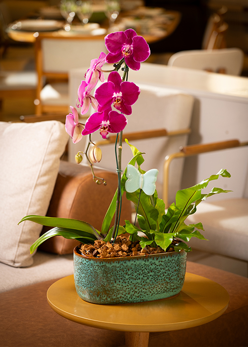 Linha Jardineiras